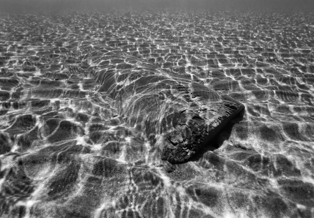 Similar wall art painting: 2824