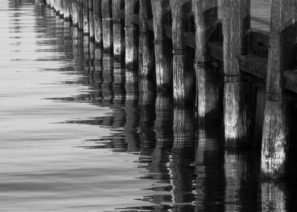 Wall Art Painting id:2840, Name: Pier Pilings XII, Artist: Peterson, Lee