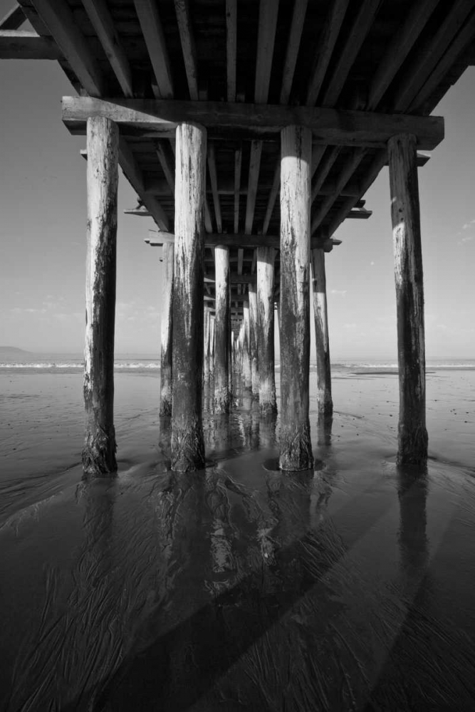 Wall Art Painting id:2844, Name: Pier Pilings XVI, Artist: Peterson, Lee