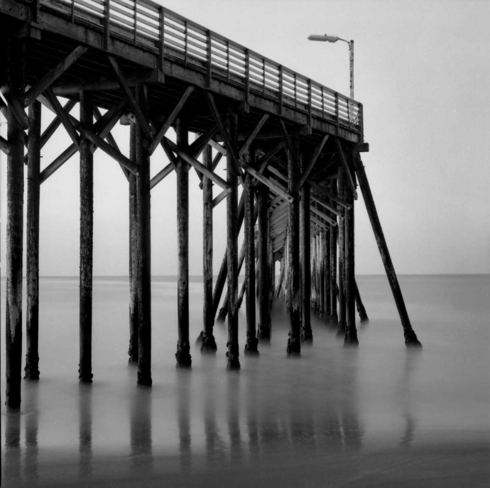 Wall Art Painting id:2848, Name: Pier Pilings XX, Artist: Peterson, Lee