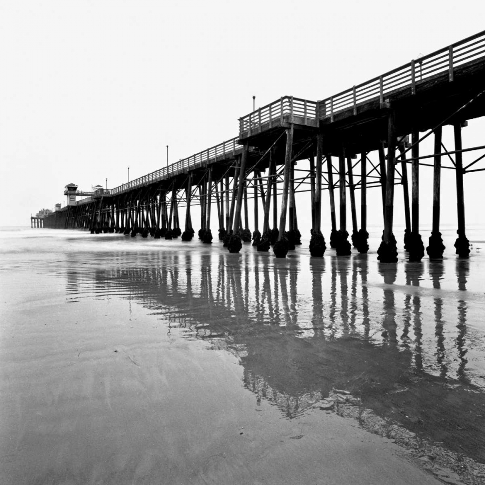 Wall Art Painting id:2849, Name: Pier Pilings XXI, Artist: Peterson, Lee