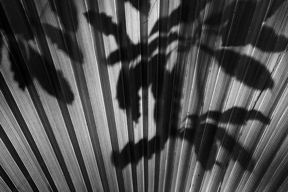 Similar wall art painting: 2853