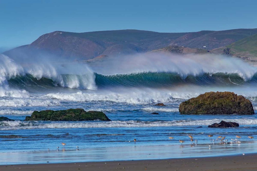 Wall Art Painting id:146518, Name: Waves in Cayucos II, Artist: Peterson, Lee