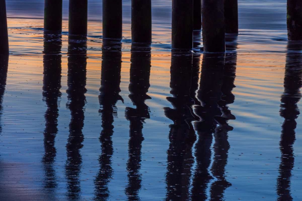 Wall Art Painting id:146555, Name: Ventura Pier Reflections I, Artist: Peterson, Lee