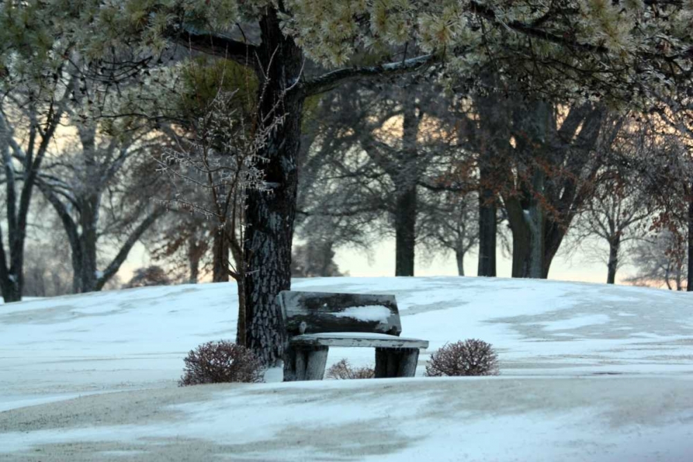 Similar wall art painting: 2960