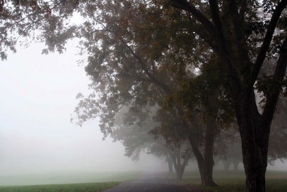 Similar wall art painting: 2967