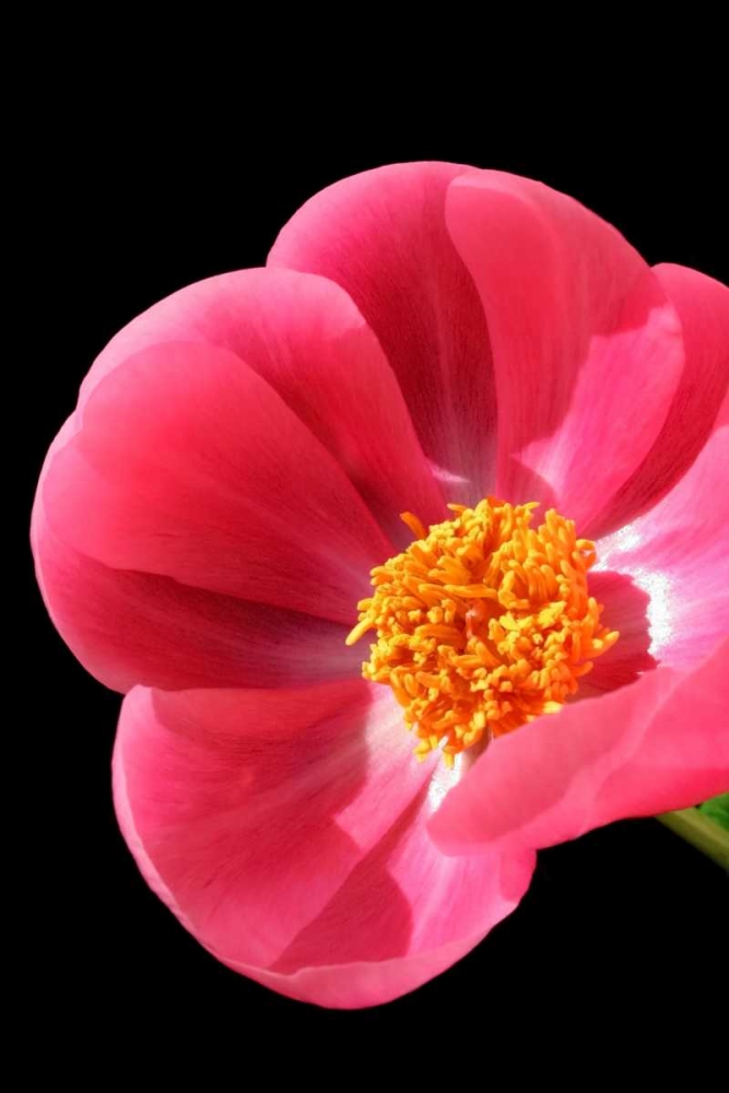 Similar wall art painting: 2978