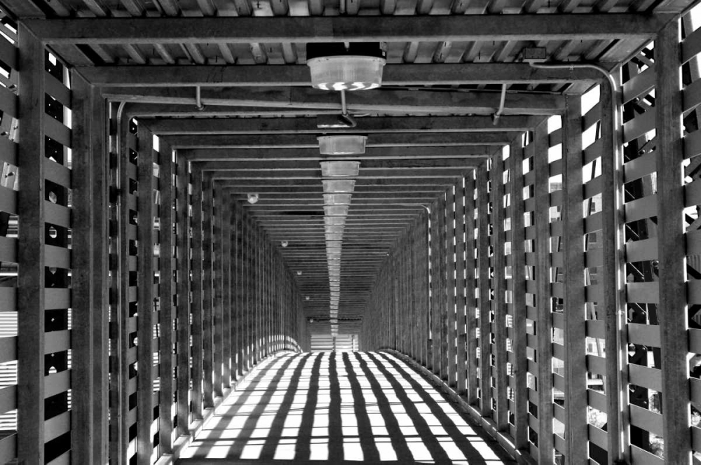 Similar wall art painting: 3004