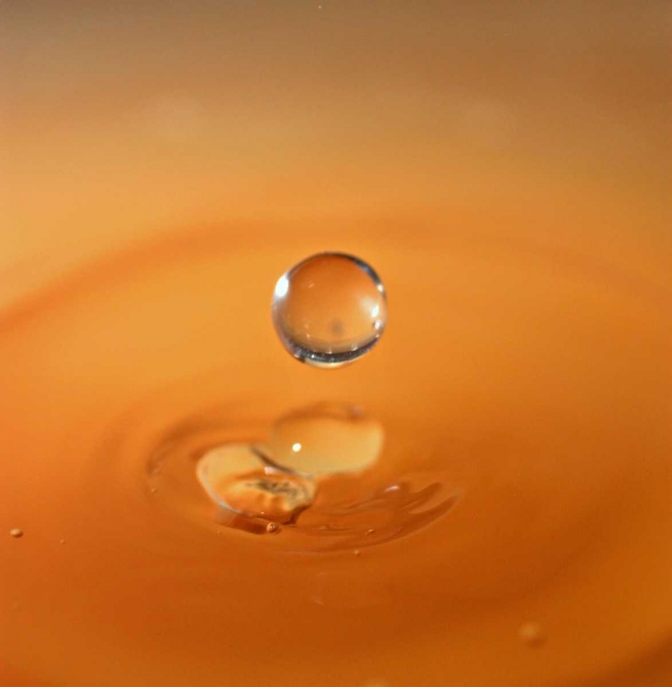 Similar wall art painting: 3014