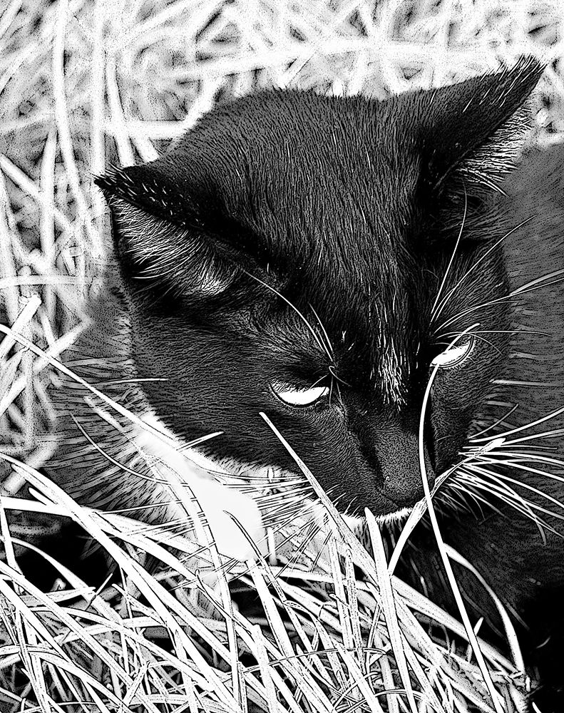 Similar wall art painting: 406989