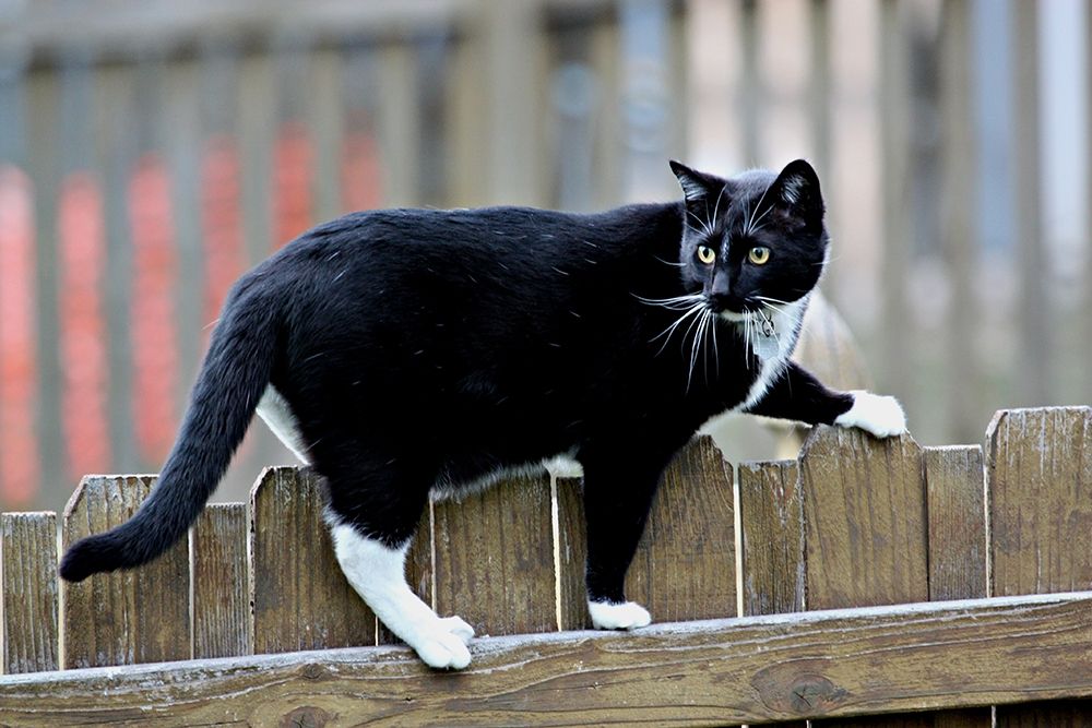 Similar wall art painting: 406990