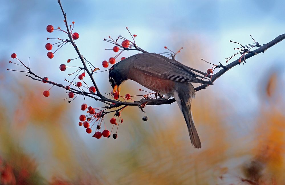 Similar wall art painting: 406992