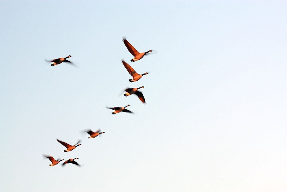 Similar wall art painting: 406997