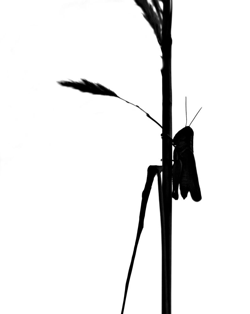 Similar wall art painting: 406998