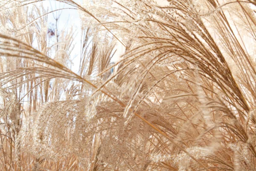 Similar wall art painting: 3393