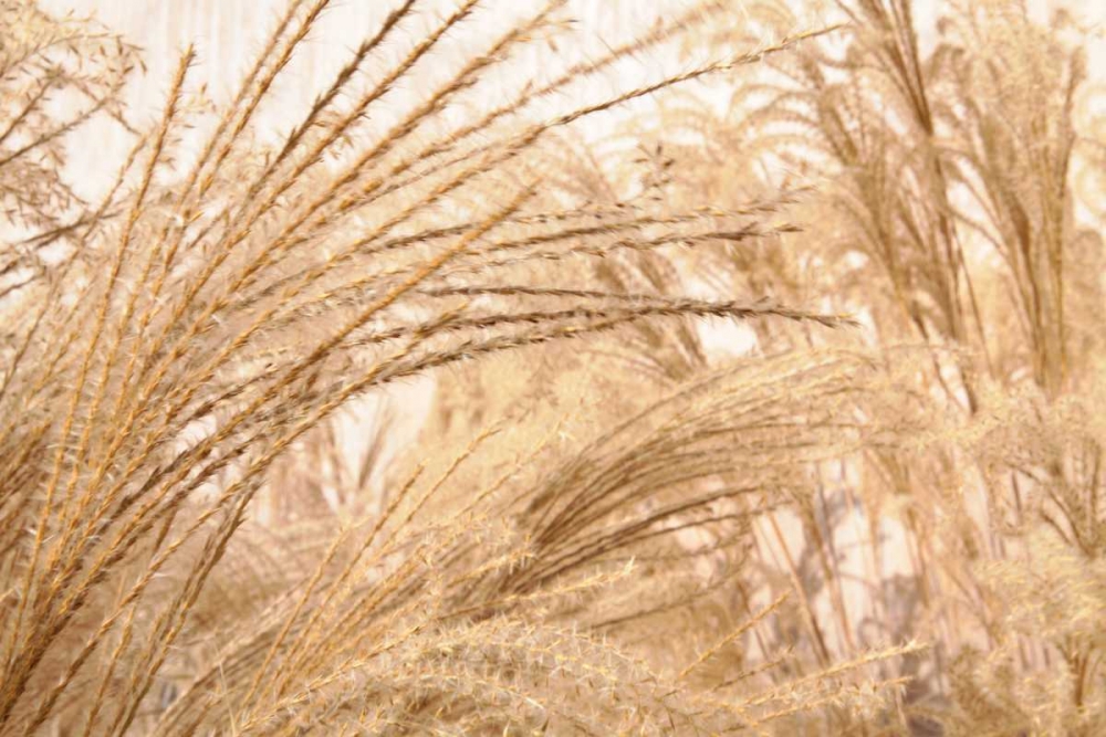 Similar wall art painting: 3394