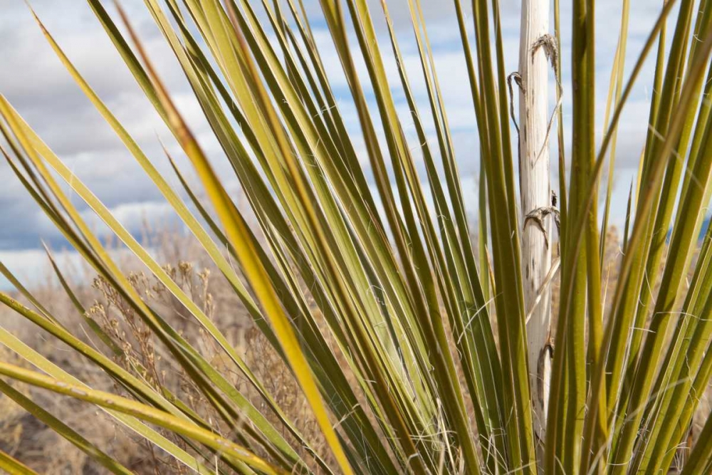 Similar wall art painting: 3395