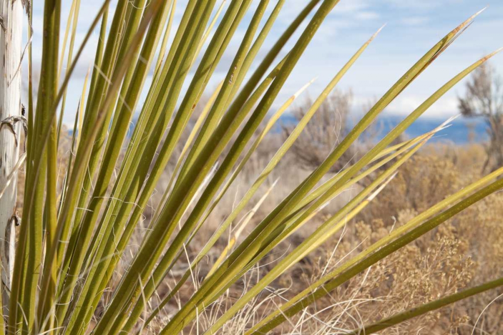 Similar wall art painting: 3396