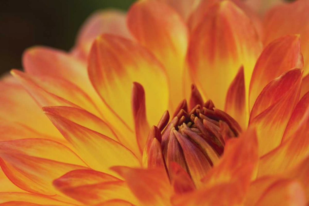 Similar wall art painting: 3401