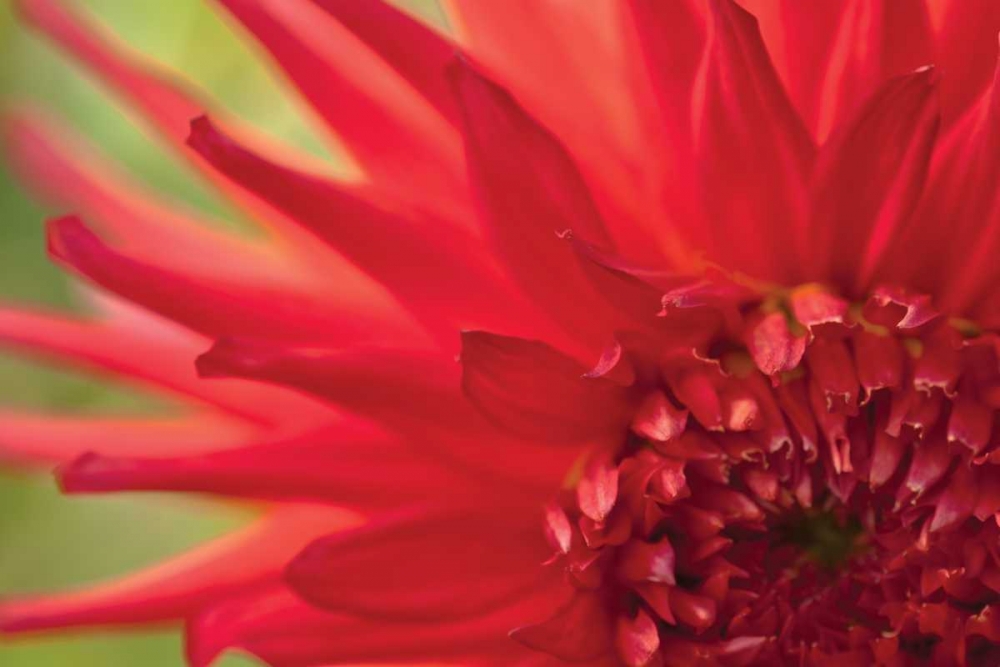 Similar wall art painting: 3402