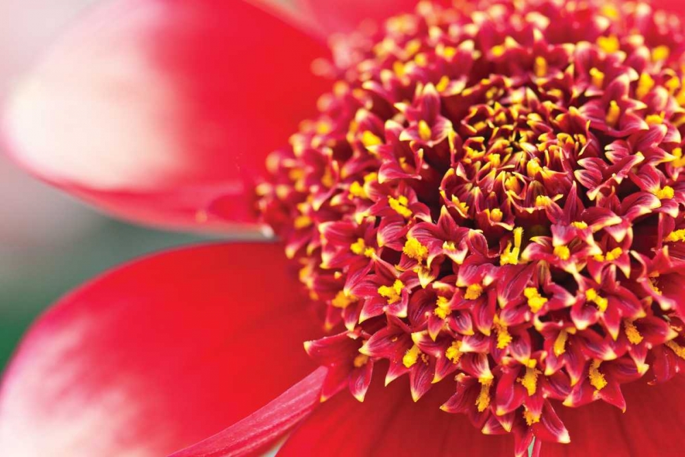 Similar wall art painting: 3403