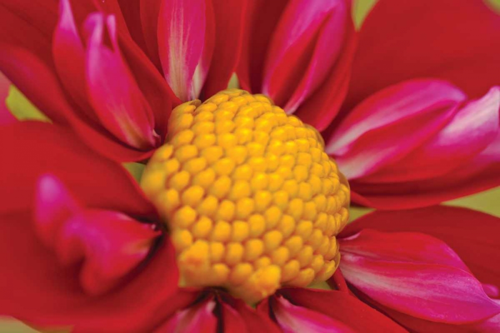 Similar wall art painting: 3404