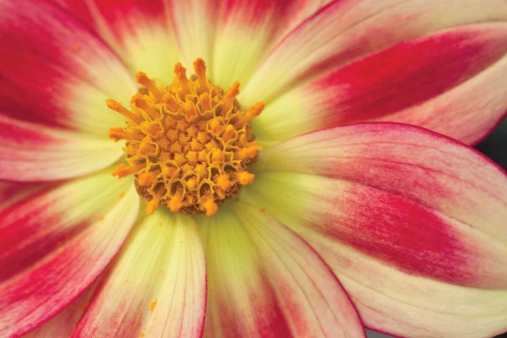 Similar wall art painting: 3405