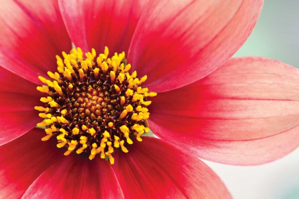 Similar wall art painting: 3406