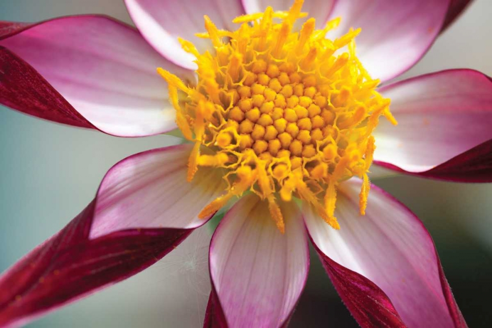 Similar wall art painting: 3407