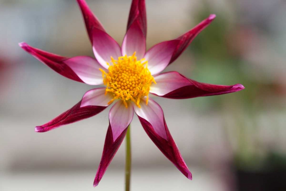 Similar wall art painting: 3408