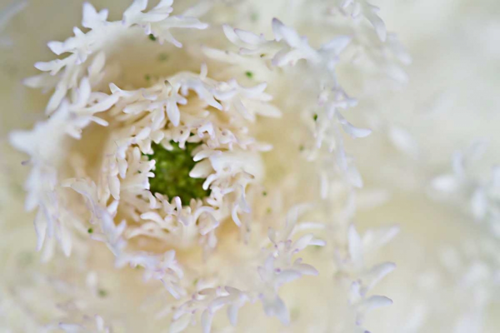 Similar wall art painting: 3409