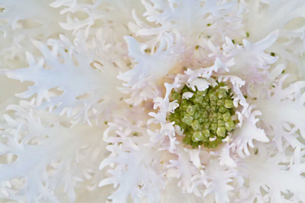 Similar wall art painting: 3410