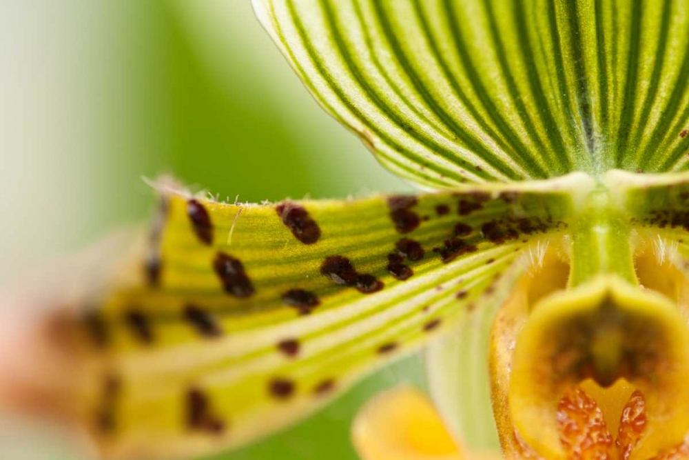 Similar wall art painting: 3411