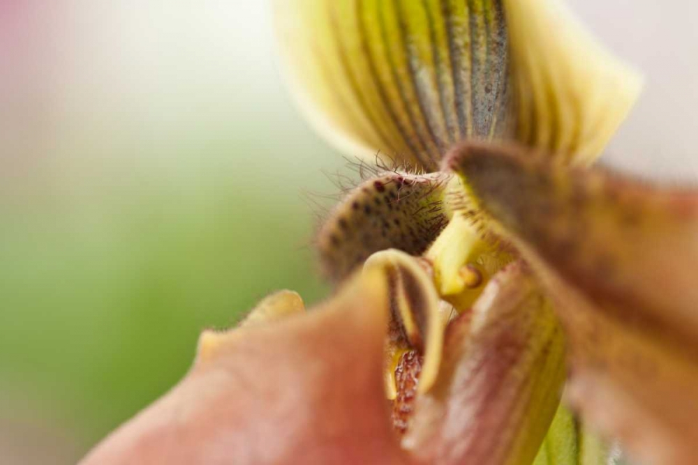 Similar wall art painting: 3412