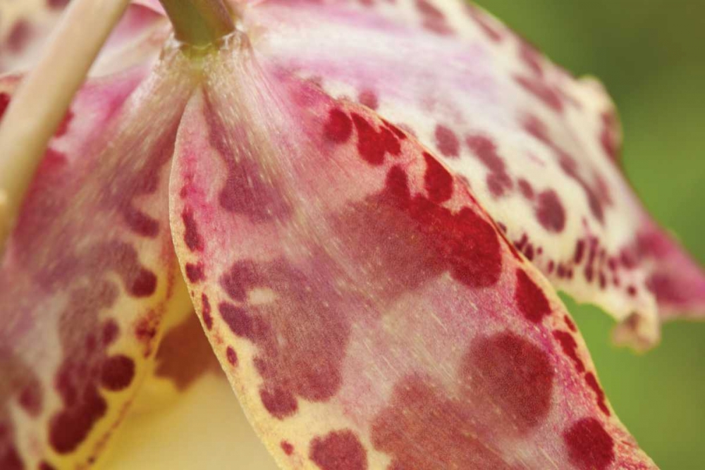 Similar wall art painting: 3414