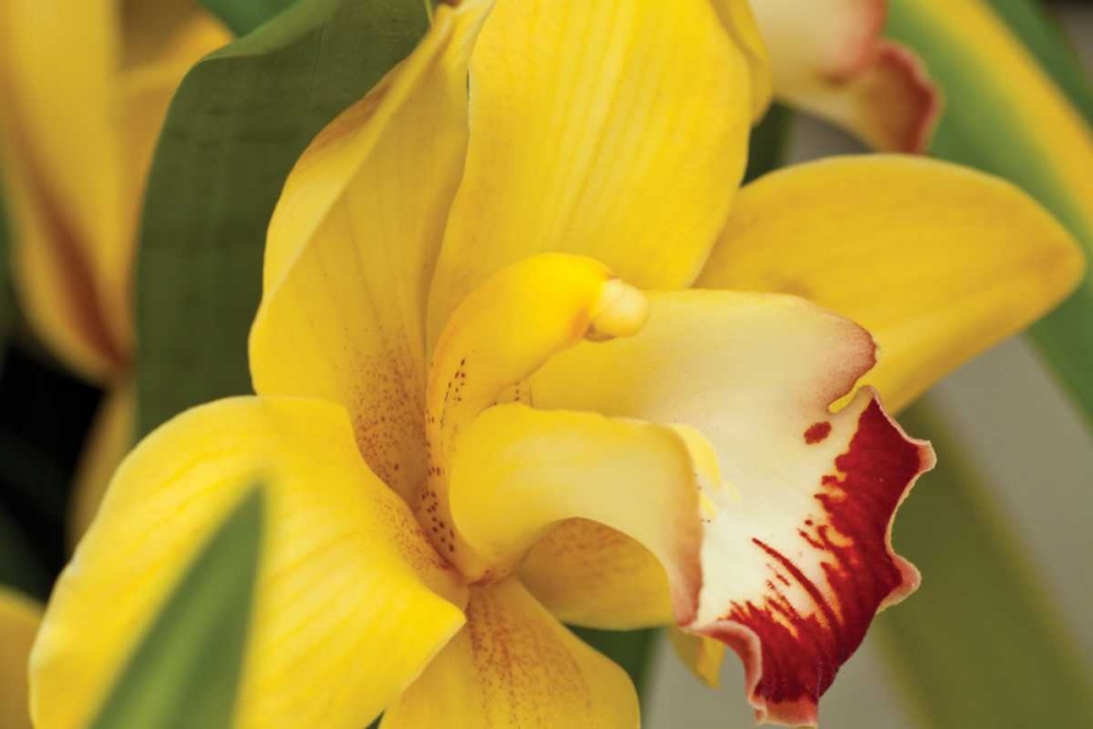 Similar wall art painting: 3415