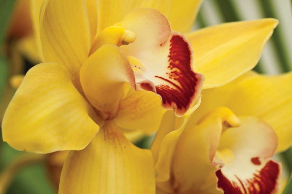 Similar wall art painting: 3416