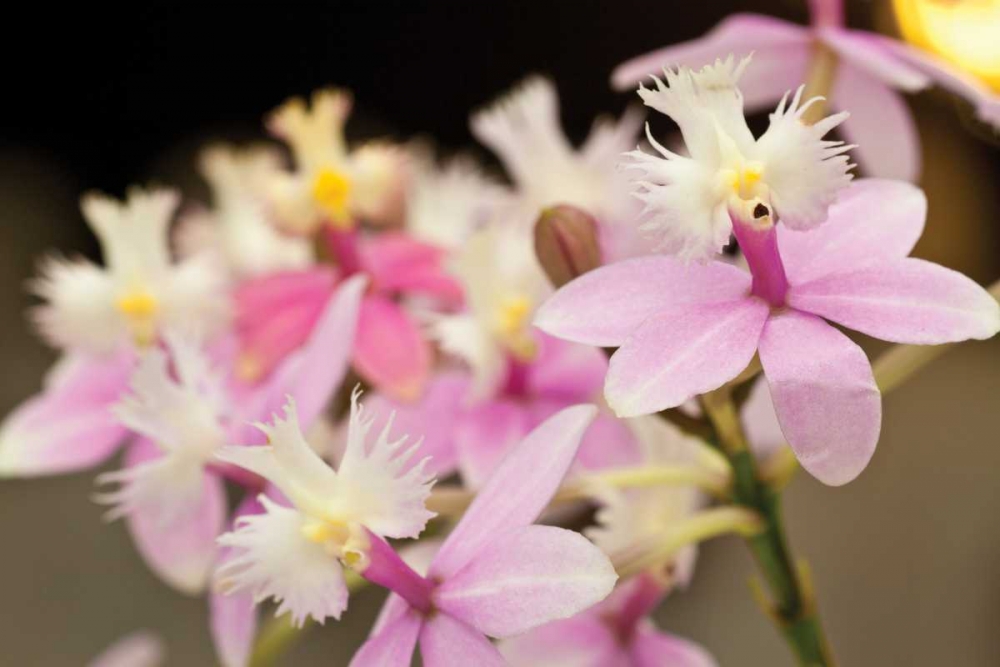 Similar wall art painting: 3417