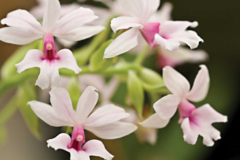 Similar wall art painting: 3418