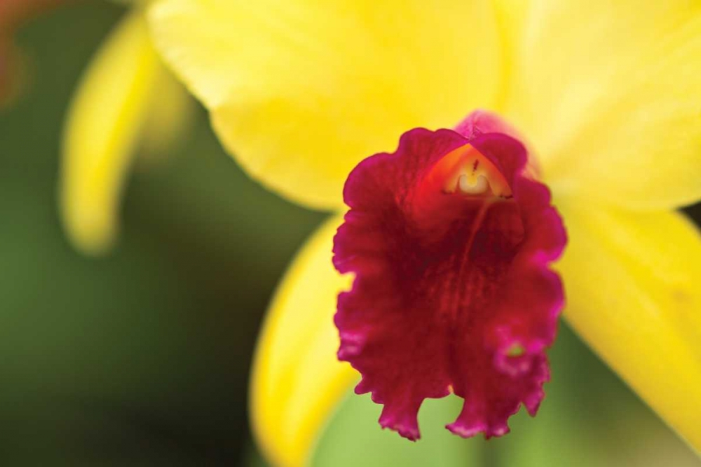 Similar wall art painting: 3419