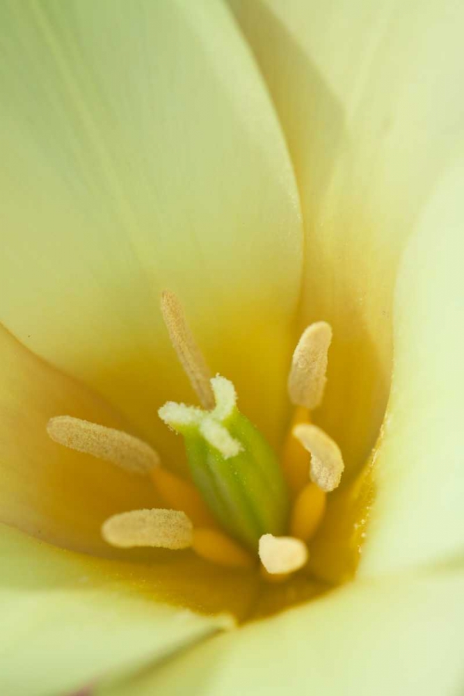 Similar wall art painting: 3465