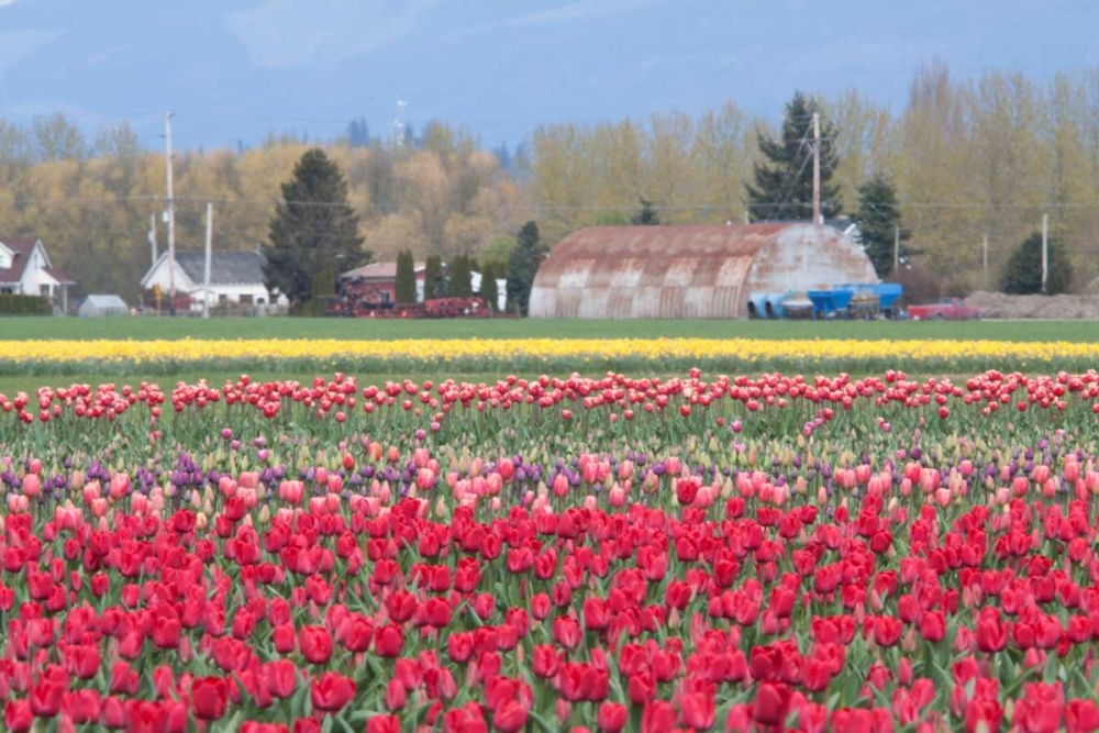 Similar wall art painting: 3490