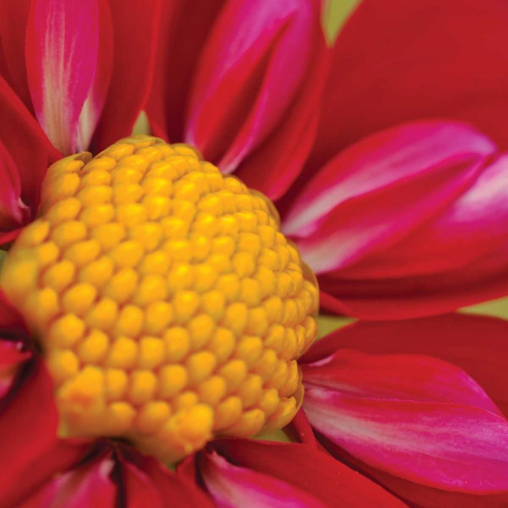 Similar wall art painting: 9909