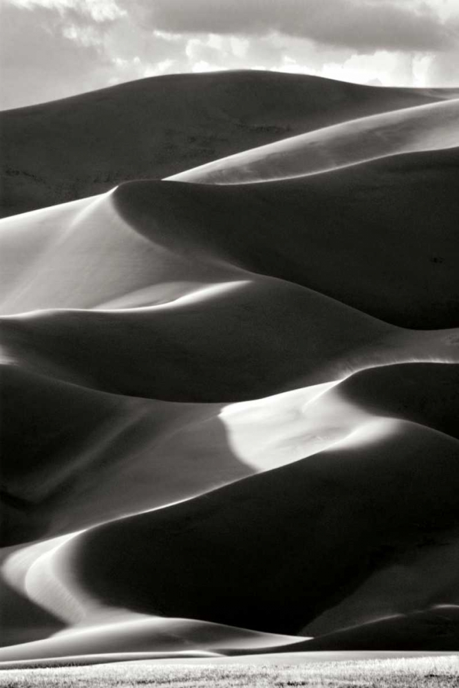 Wall Art Painting id:25265, Name: Great Sand Dunes IV BW, Artist: Taylor, Douglas