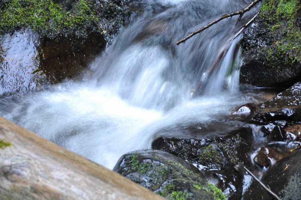 Similar wall art painting: 3631