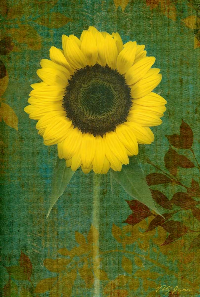 Wall Art Painting id:3729, Name: Sunflower, Artist: Geyman, Vitaly