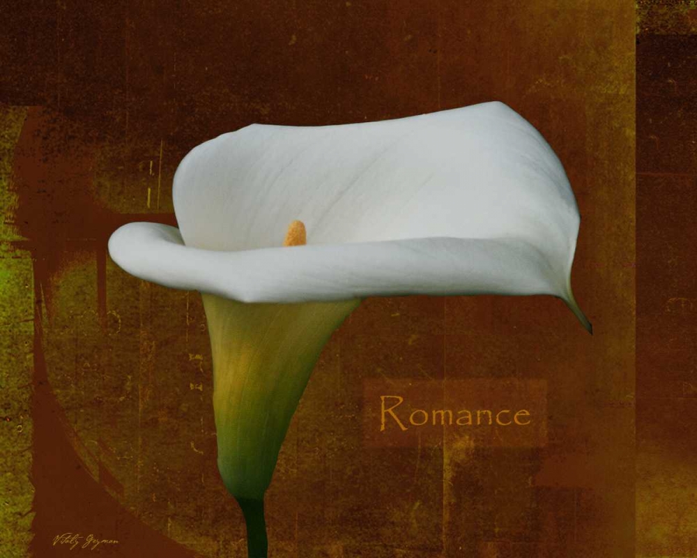 Wall Art Painting id:3731, Name: Calla Lily Romance, Artist: Geyman, Vitaly