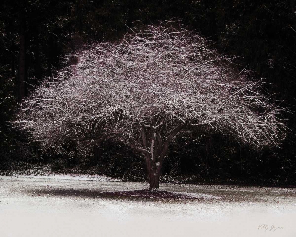 Similar wall art painting: 567