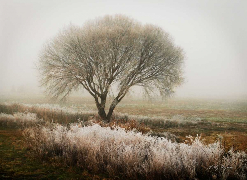 Similar wall art painting: 572