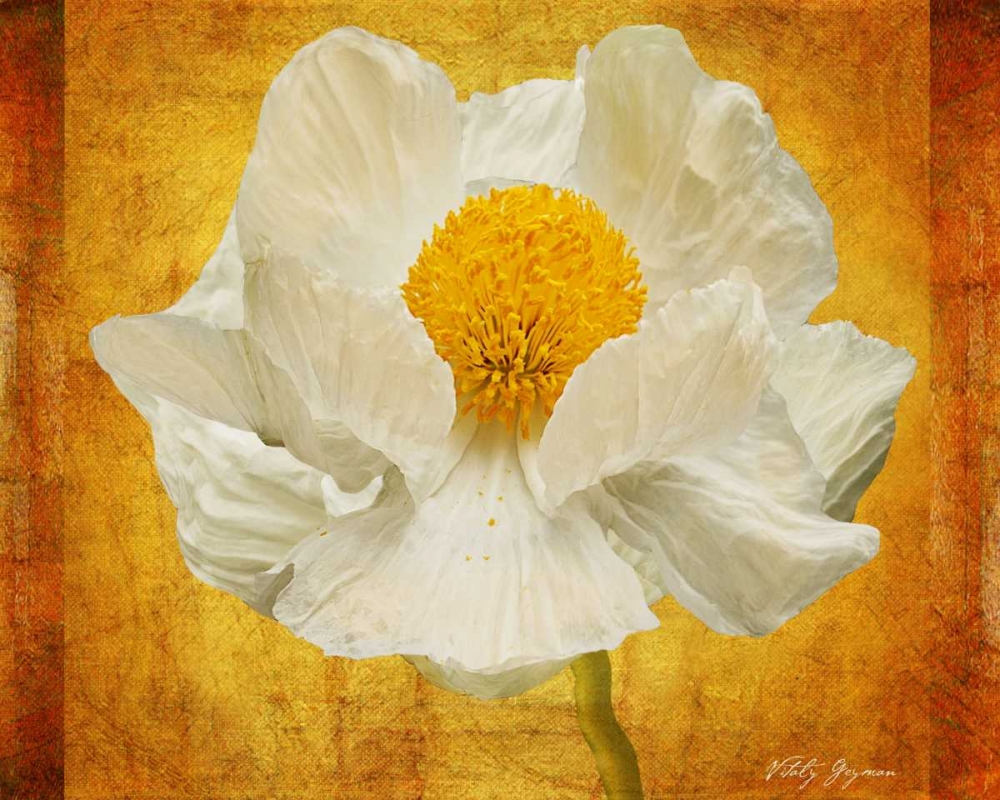 Similar wall art painting: 575